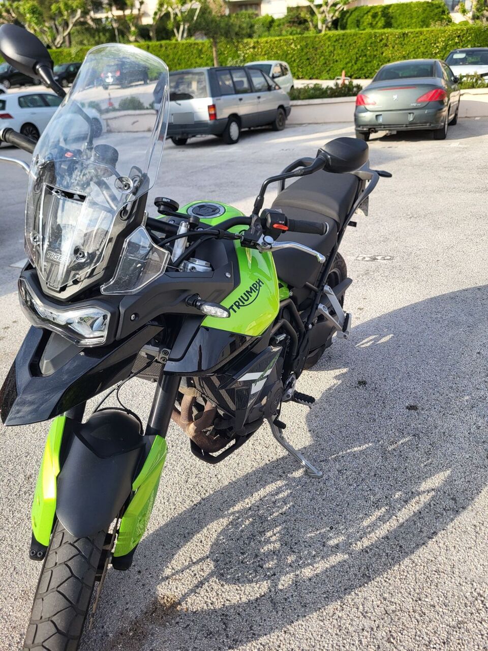 Photo TRIUMPH TIGER