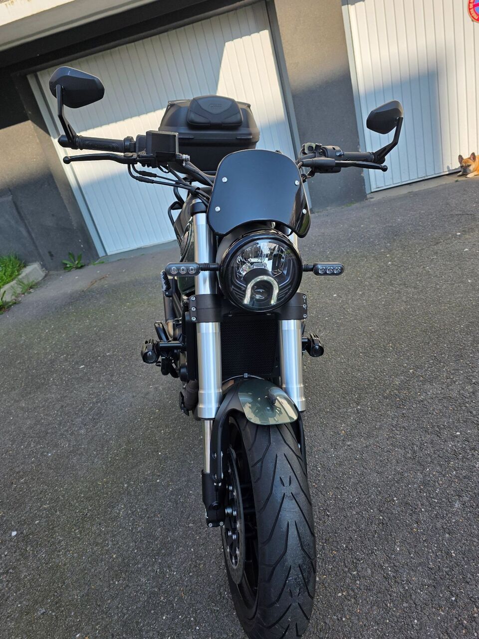 Photo BENELLI LEONCINO 500