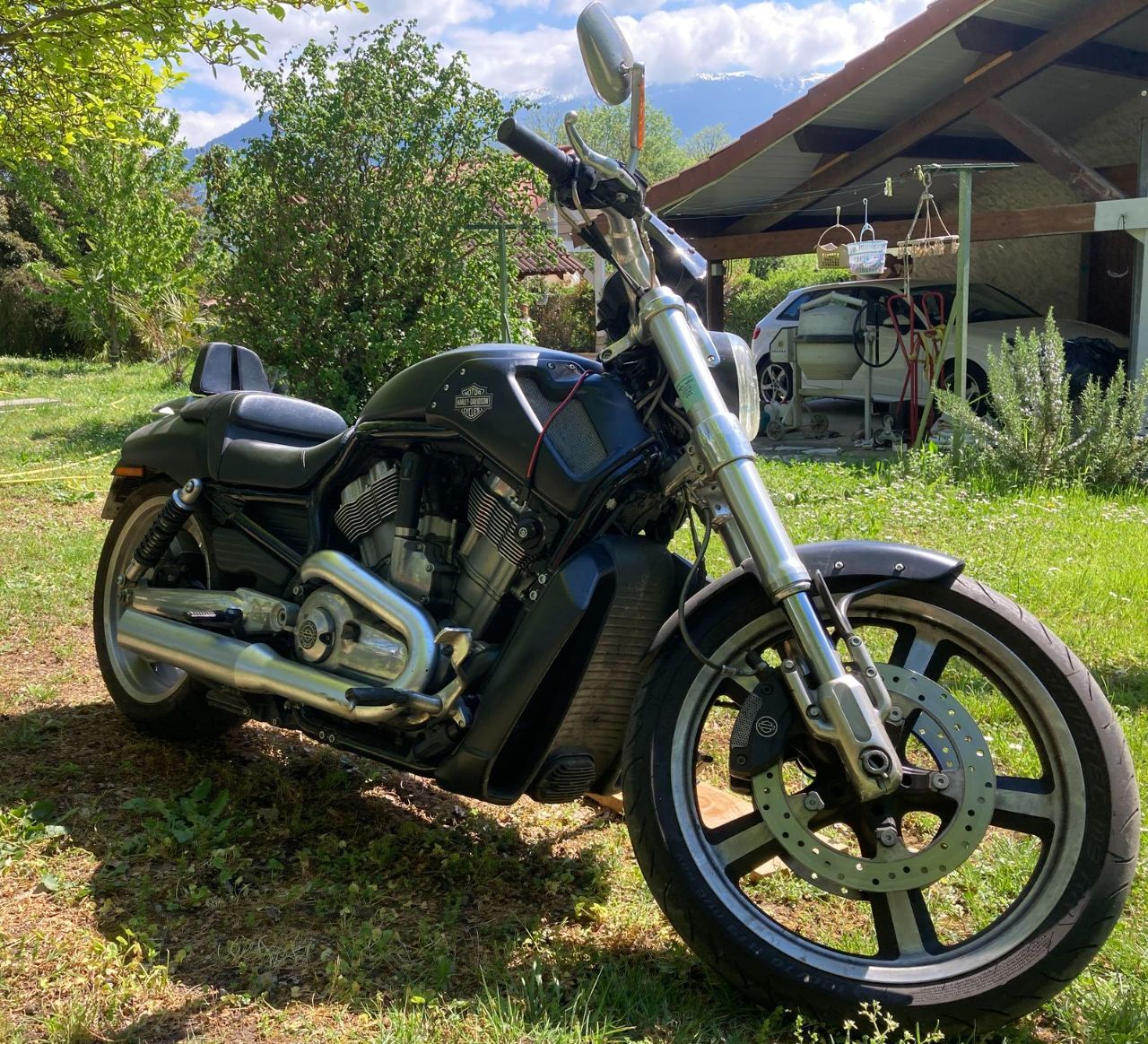 Photo HARLEY DAVIDSON V-ROD