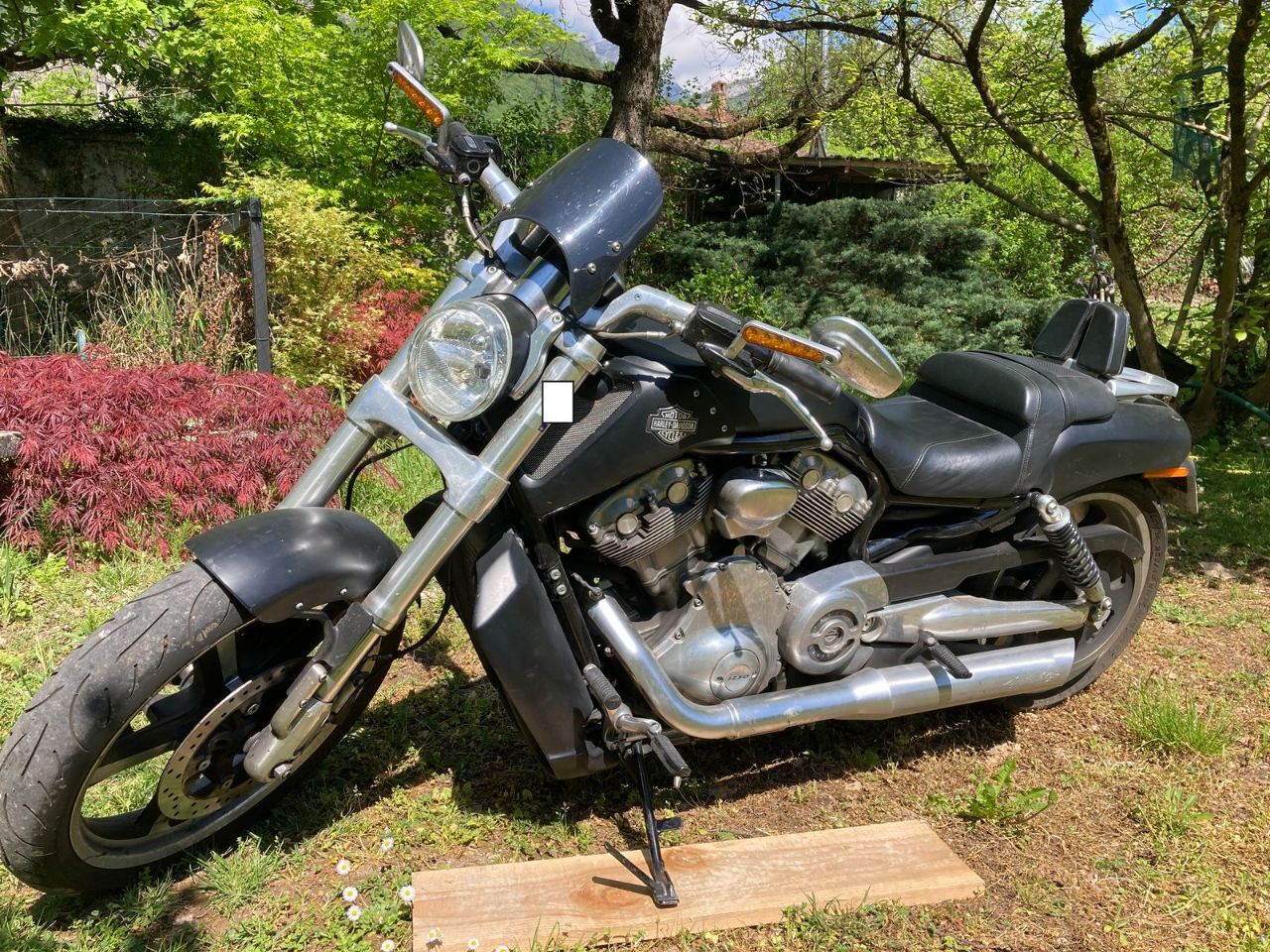 Photo HARLEY DAVIDSON V-ROD