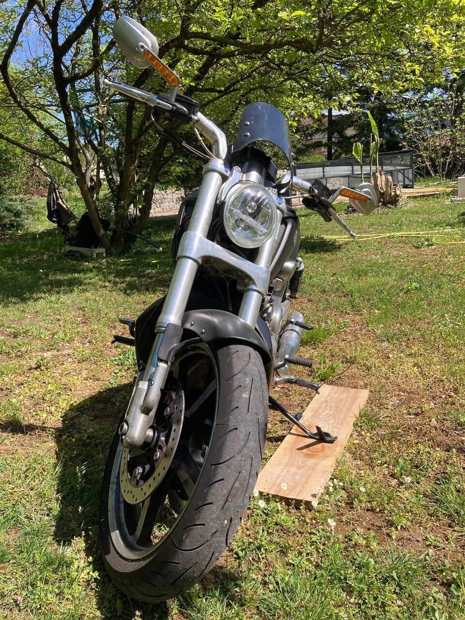 Photo HARLEY DAVIDSON V-ROD