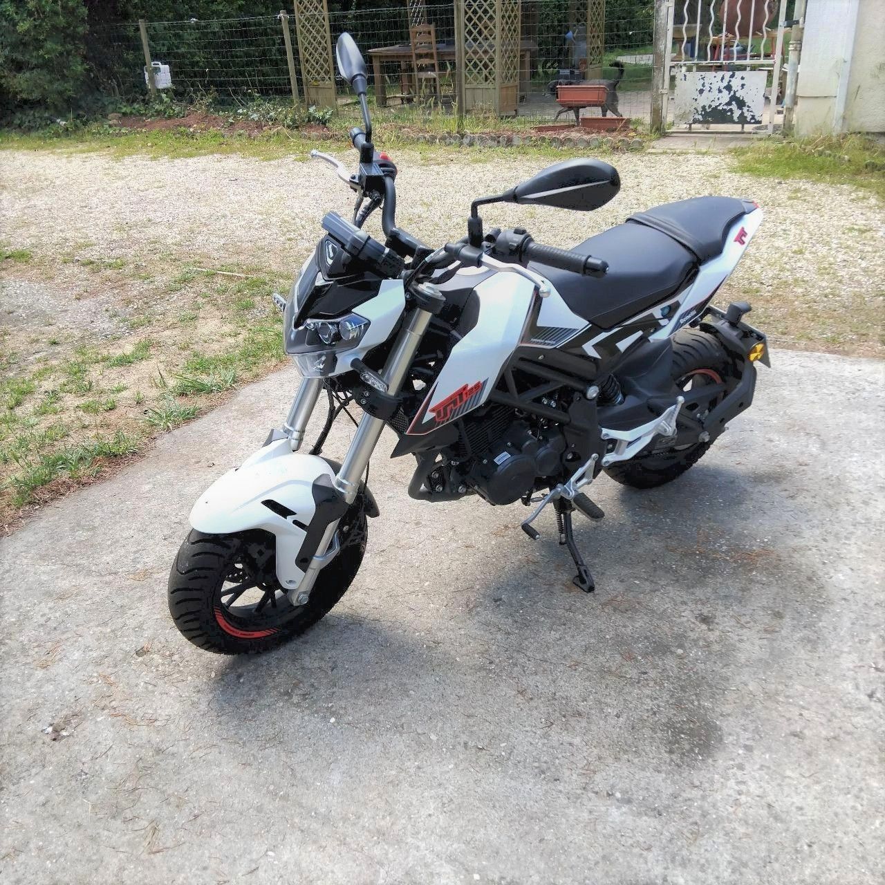 Photo BENELLI TORNADO 125