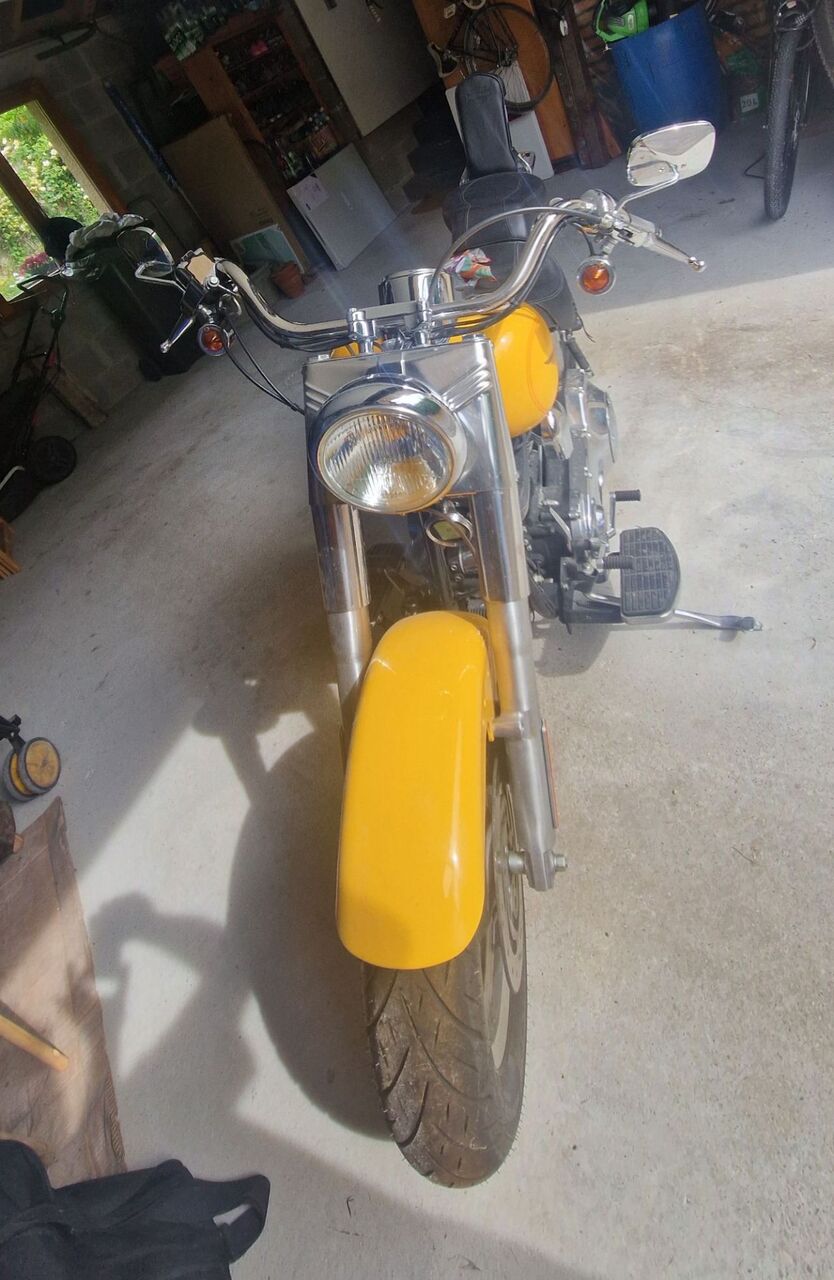 Photo HARLEY DAVIDSON FAT