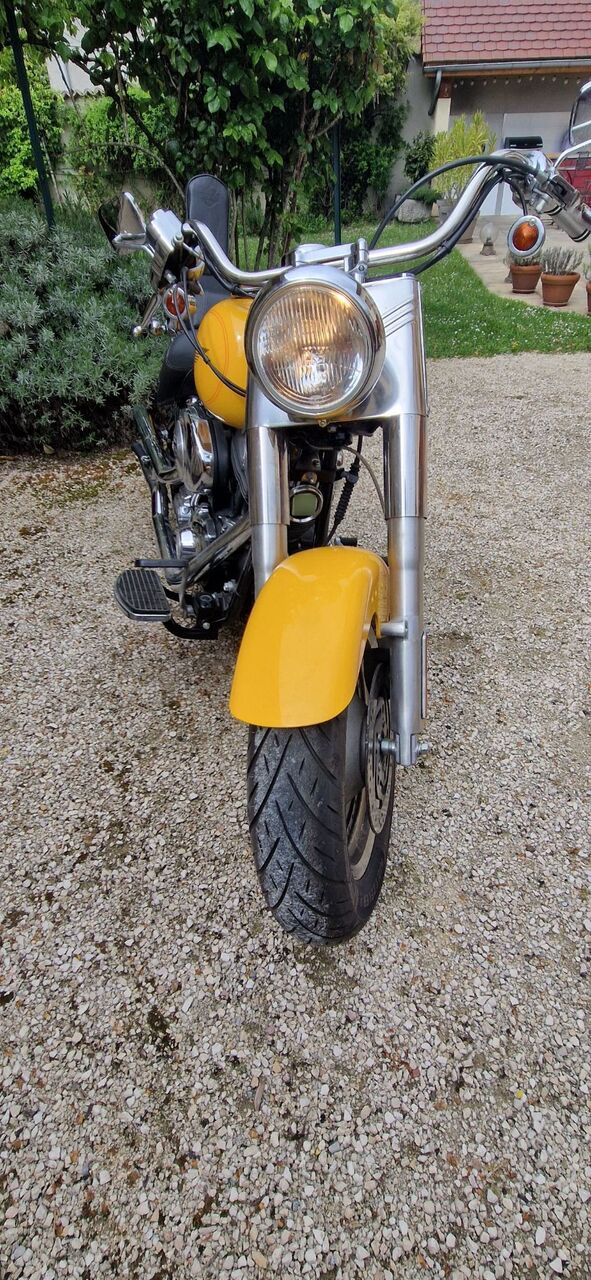 Photo HARLEY DAVIDSON FAT