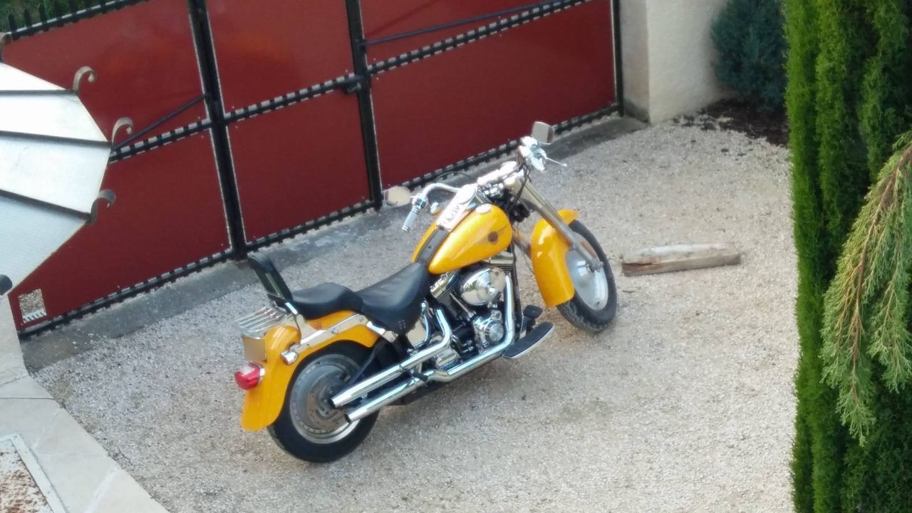 Photo HARLEY DAVIDSON FAT