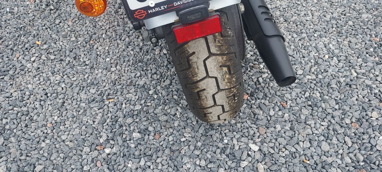 Photo HARLEY DAVIDSON 883