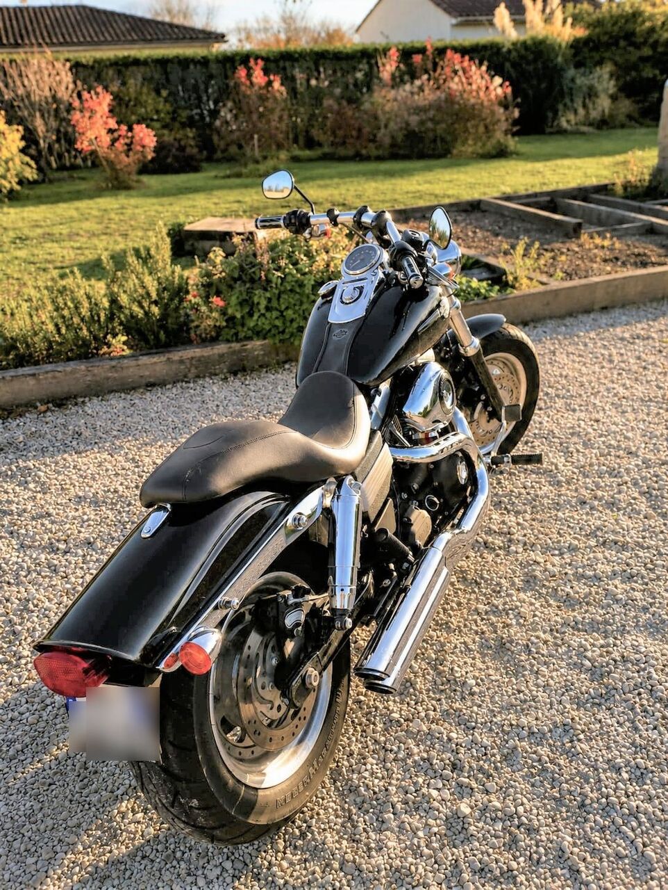 Photo HARLEY DAVIDSON FAT
