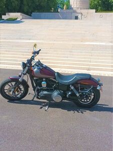 HARLEY DAVIDSON DYNA STREET BOB